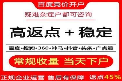 百度SEO推广案例解析与效果评估